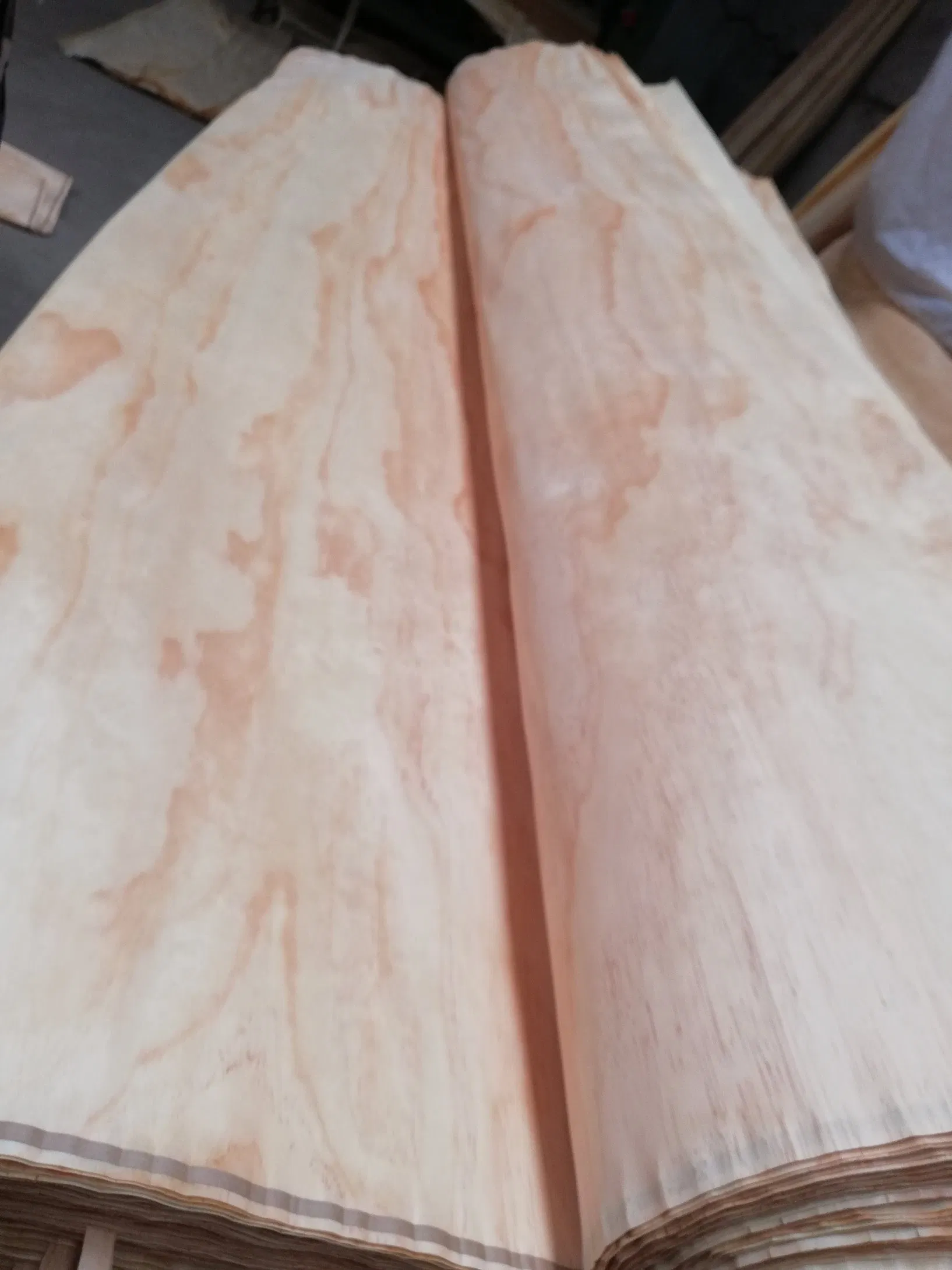 Natural Rotary Cut 0.5mm Thickness Pine Wood Face Veneer