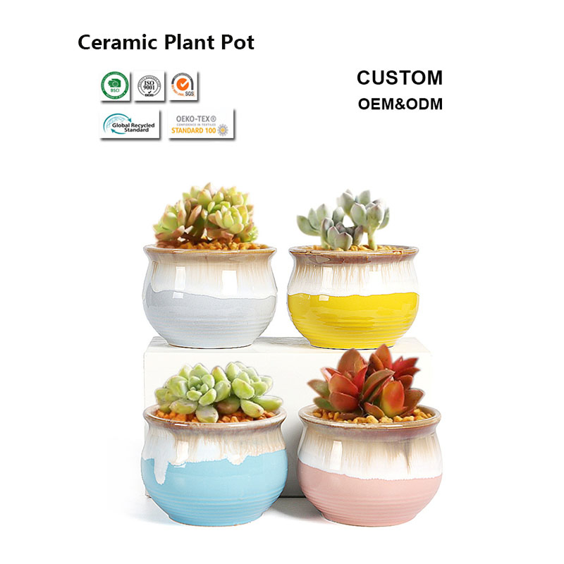BPA-Free Eco-Friendly Ceramic Flower Pot for Organic Gardening