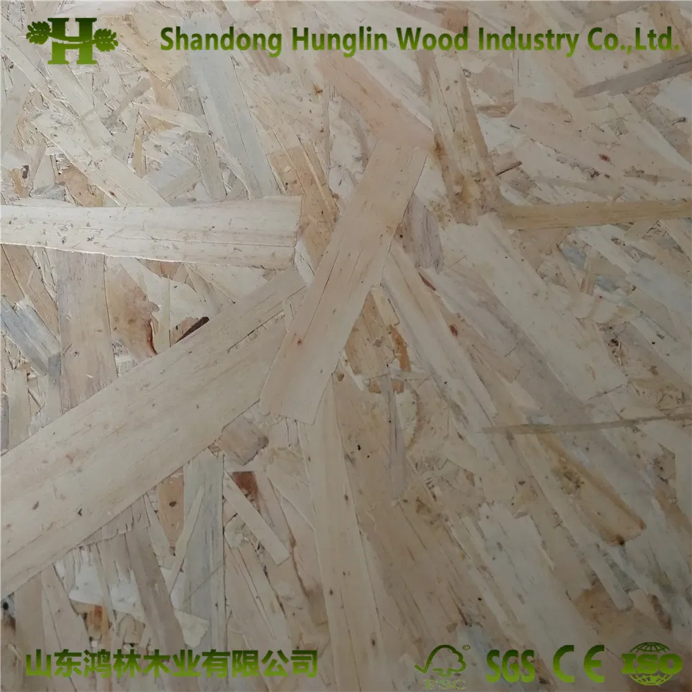 1220*2440mm/4*8 FT Construction OSB/Oriented Strand Board Phenolic OSB3 Board