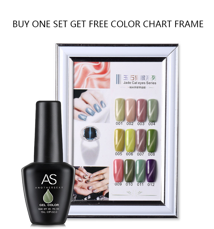 as 3D Magnetic Nailart Saloncat Eye Gel Nail Polish for Manicure