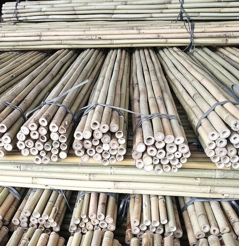 Bamboo Handle /Cheap and High-Quality Bamboo Poles