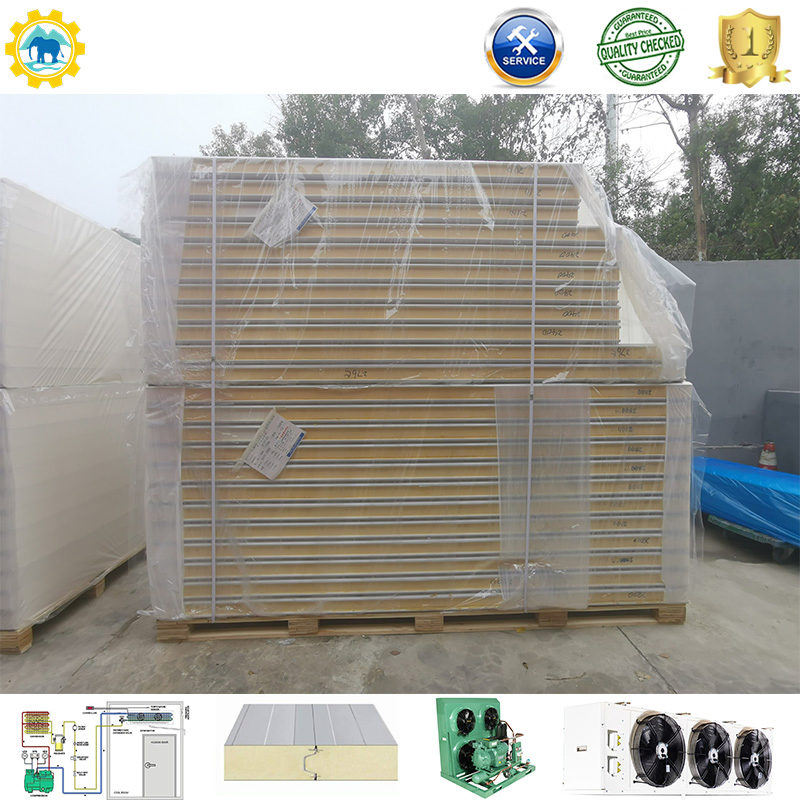 PIR Panels for Vegetable Walk-in Cold Storage