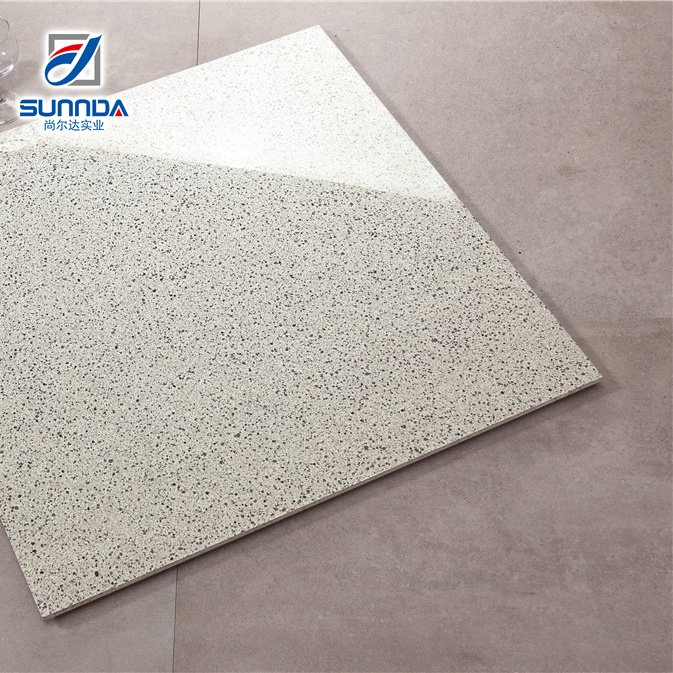 Polished Porcelain Tiles Vitrified Floor Wall Glossy Shiny Surface 600X600