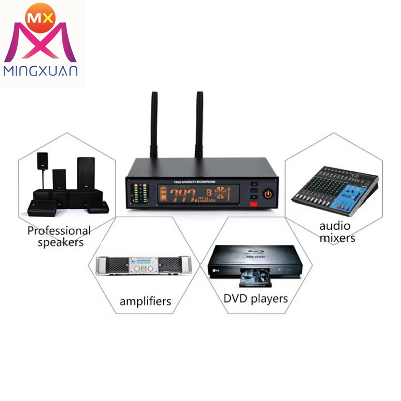 Single Channel UHF Professional Digital Wireless Microphone System True Diversity