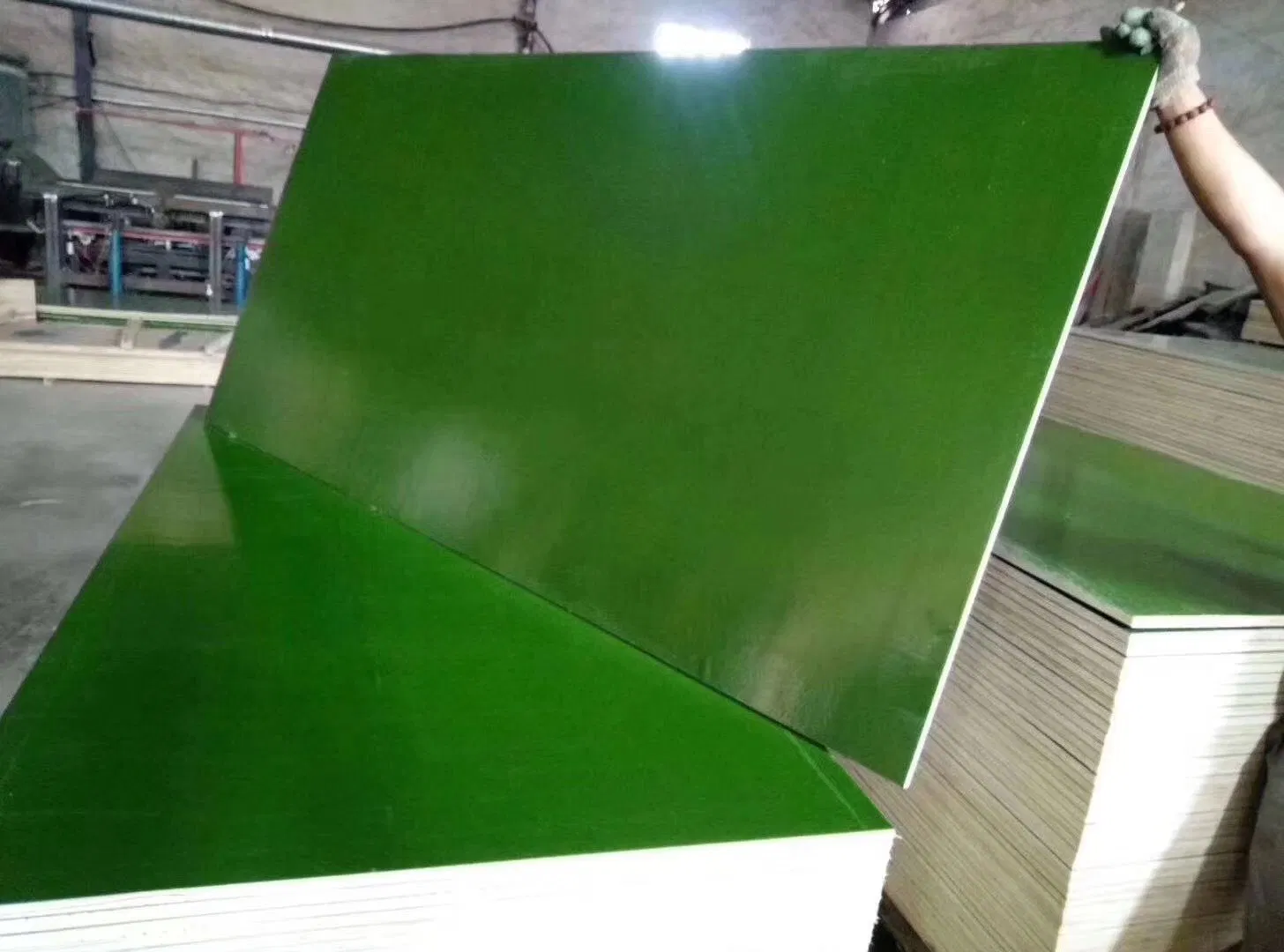 Plastic Film Faced Plywood for Construction and Buildings
