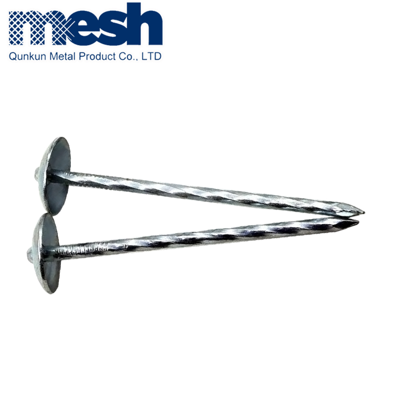 Galvanized Roofing Nails with Flat Head