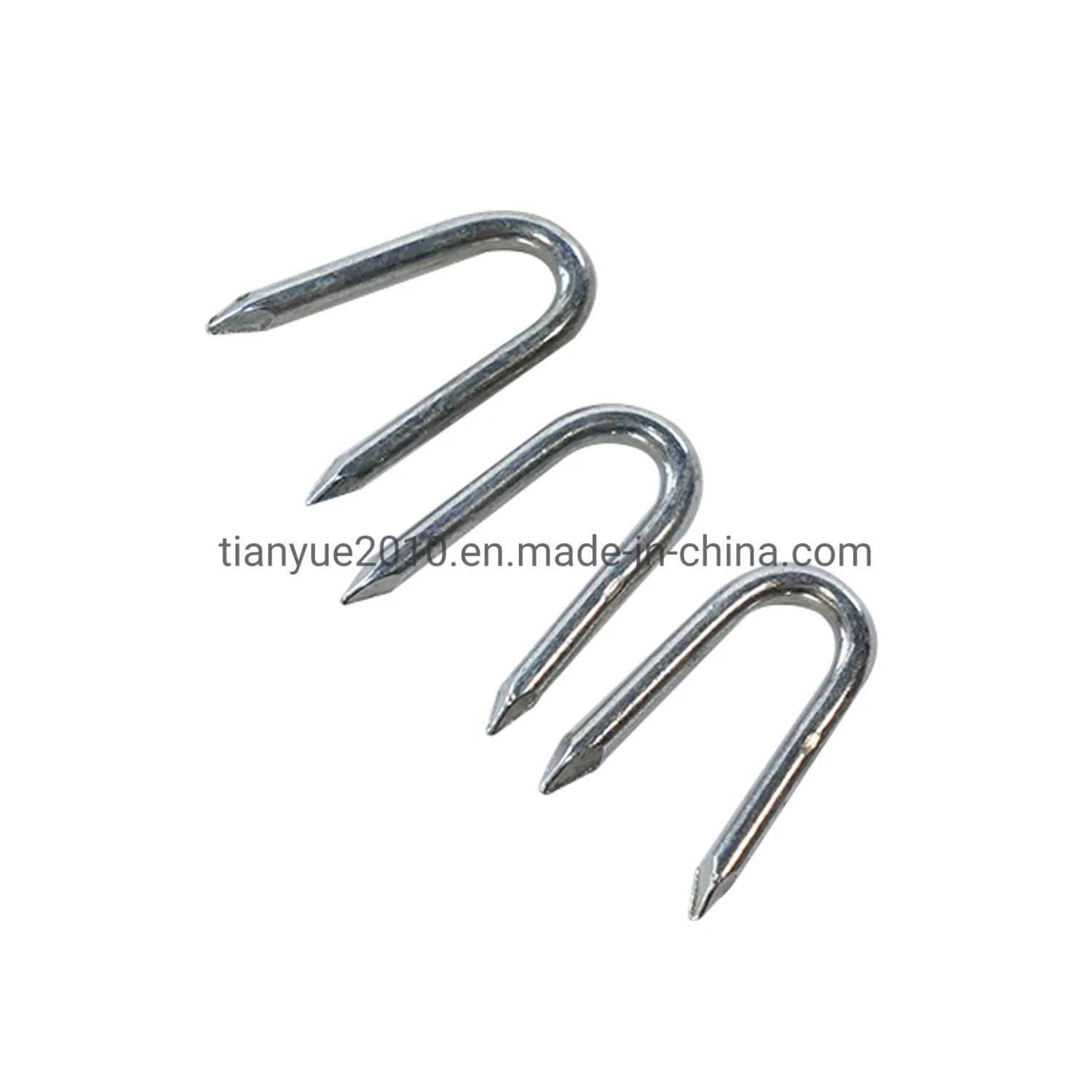 2.5-6.0 Inches Common Nails (TYB-0062)