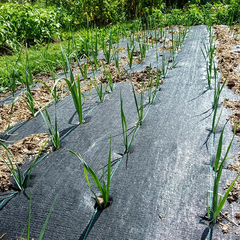 Eco-Friendly Grass and Weed Prevention Cover for Landscaping Solutions