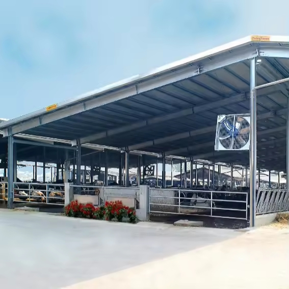 Poultry Shed Prefab Barn Steel Structures Farm Building Dairy Cow Cubicles