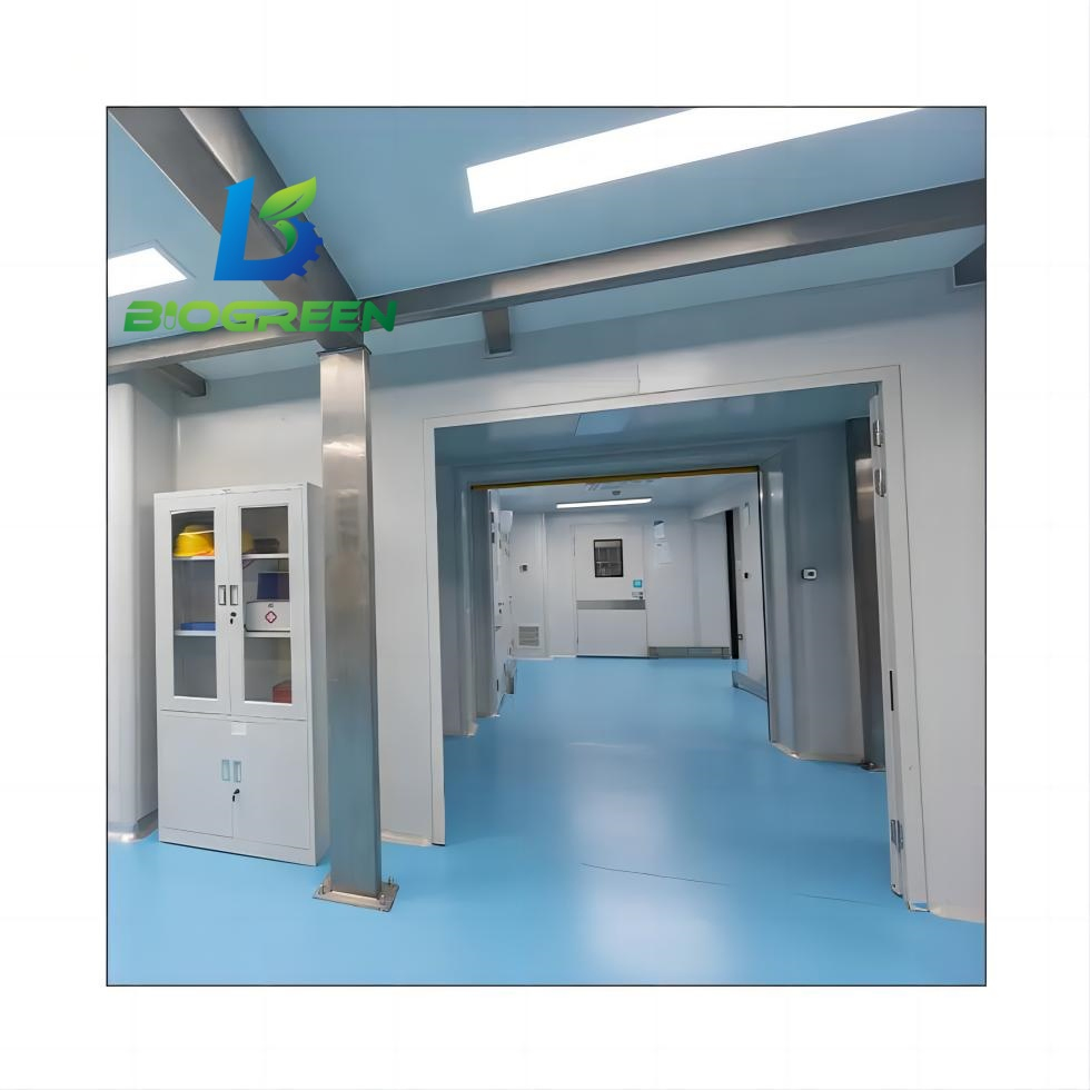 Factory Delivery Professional GMP Cleanroom Project