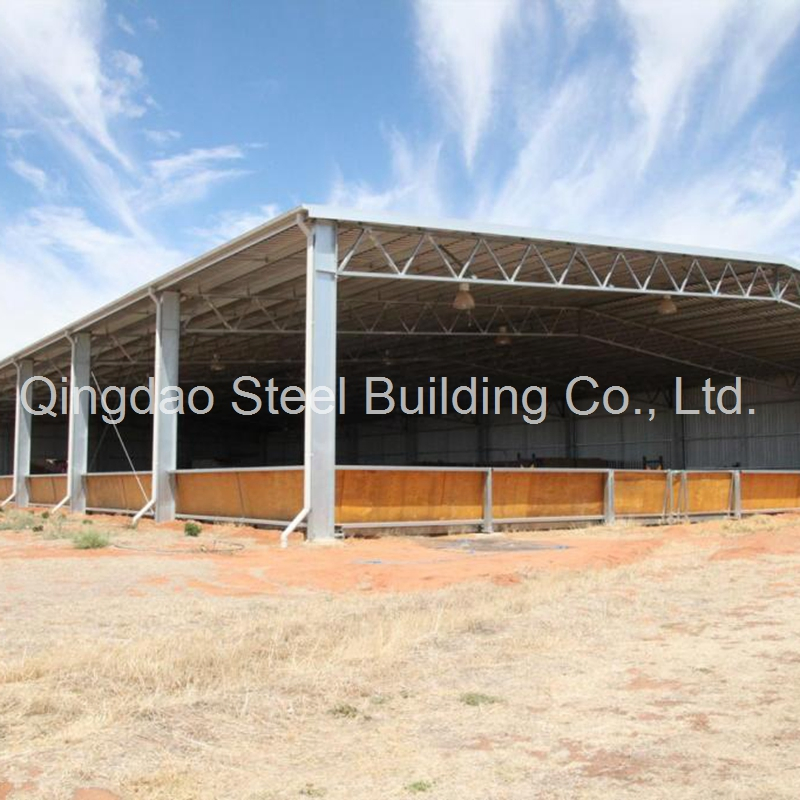 Factory Supply Customized Design Galvanized/Painted Steel Structure Covered Horse Riding Arena