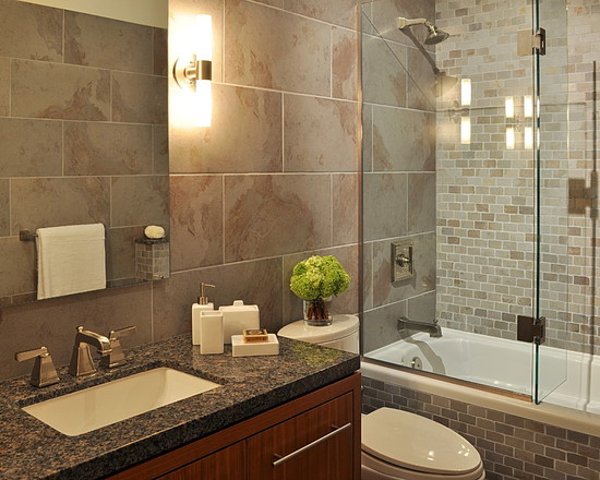 Tempered Clear and Frosted Glass Shower Enclosure Bathroom Shower