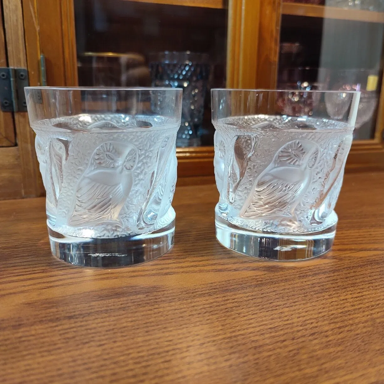 Owl Design Thick Transparent Rock Crystal Glass Whiskey Tumbler Set of 2 with Rim for Wine and Vodka Packed in a Luxury Gift Box