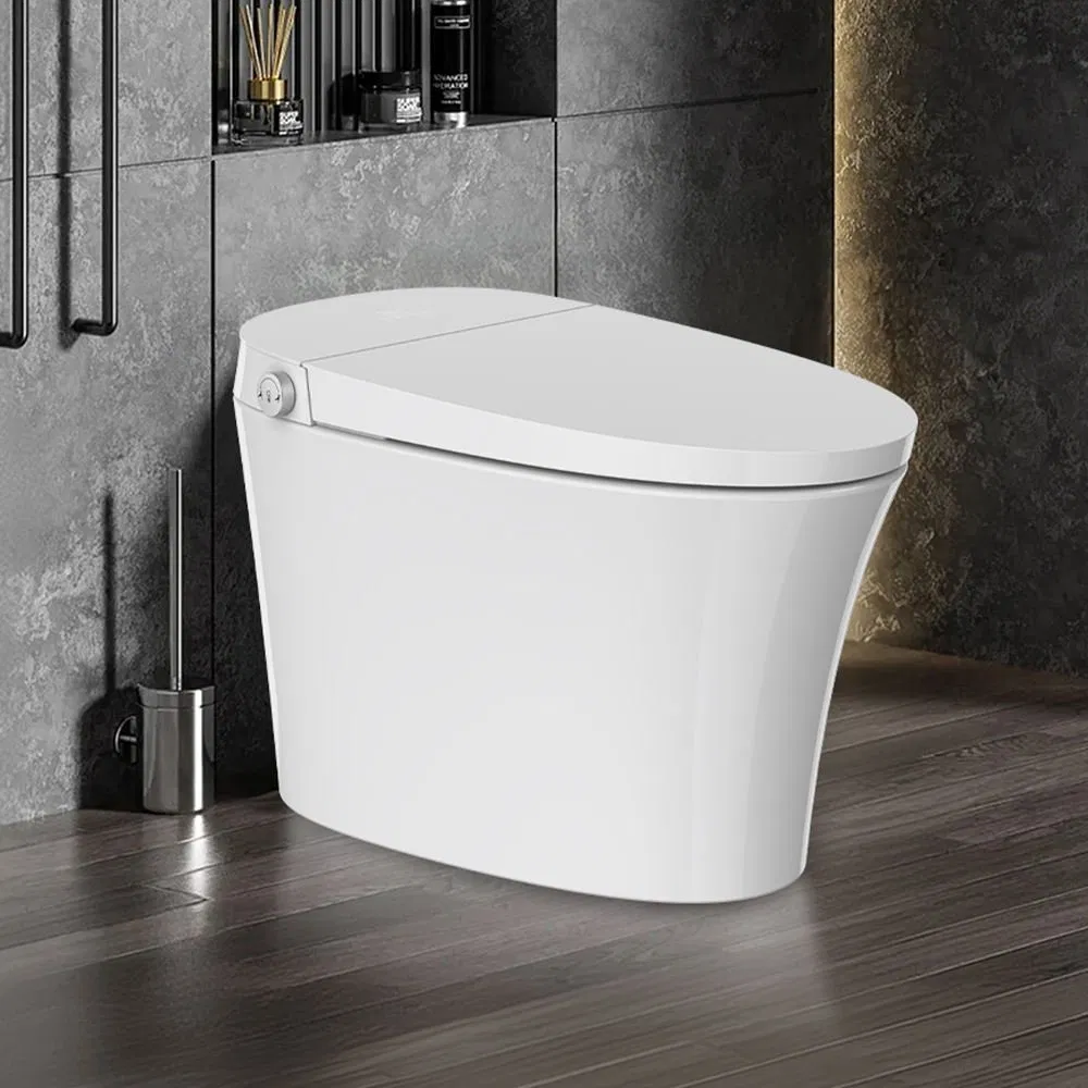 Ta-X566df High-End Effortless Installation Auto Wash Water Saving Nozzle One Piece Intelligent Toilet Smart Toilet