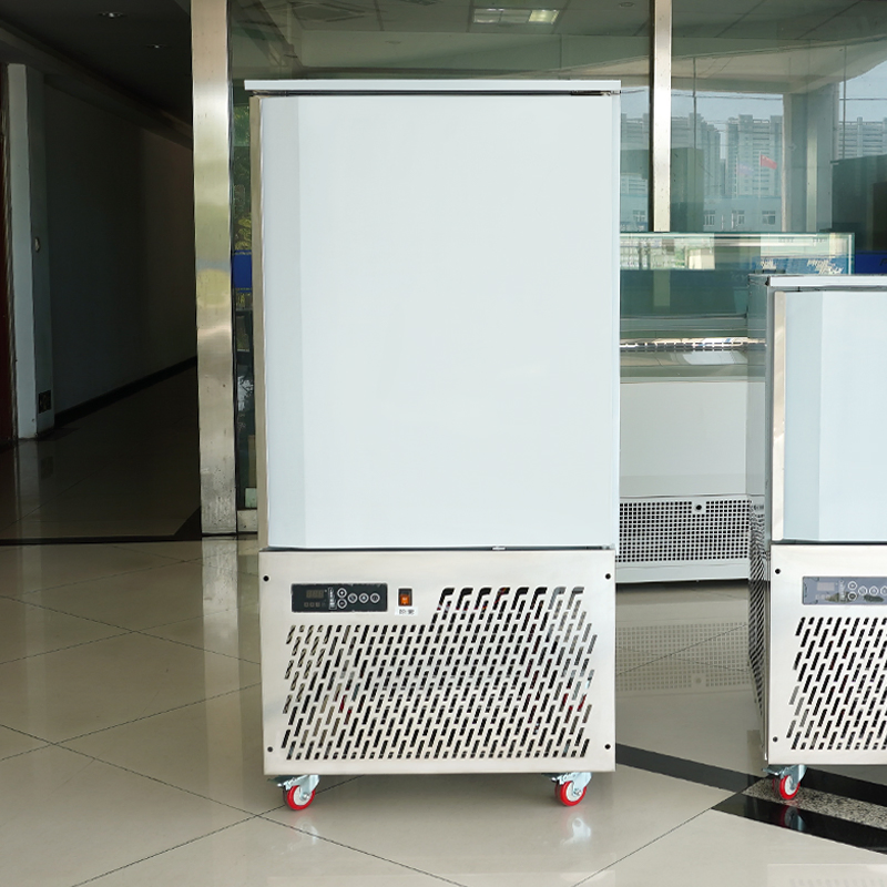 Compact Blast Freezer Ice Cream/Meat/Fish/Chicken Chiller-40 C 150 L 220L Trolley