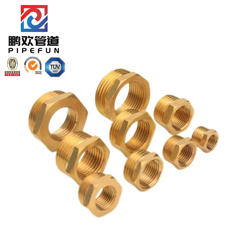 Brass Steel Alloy Steel Pipe Fitting Bushing