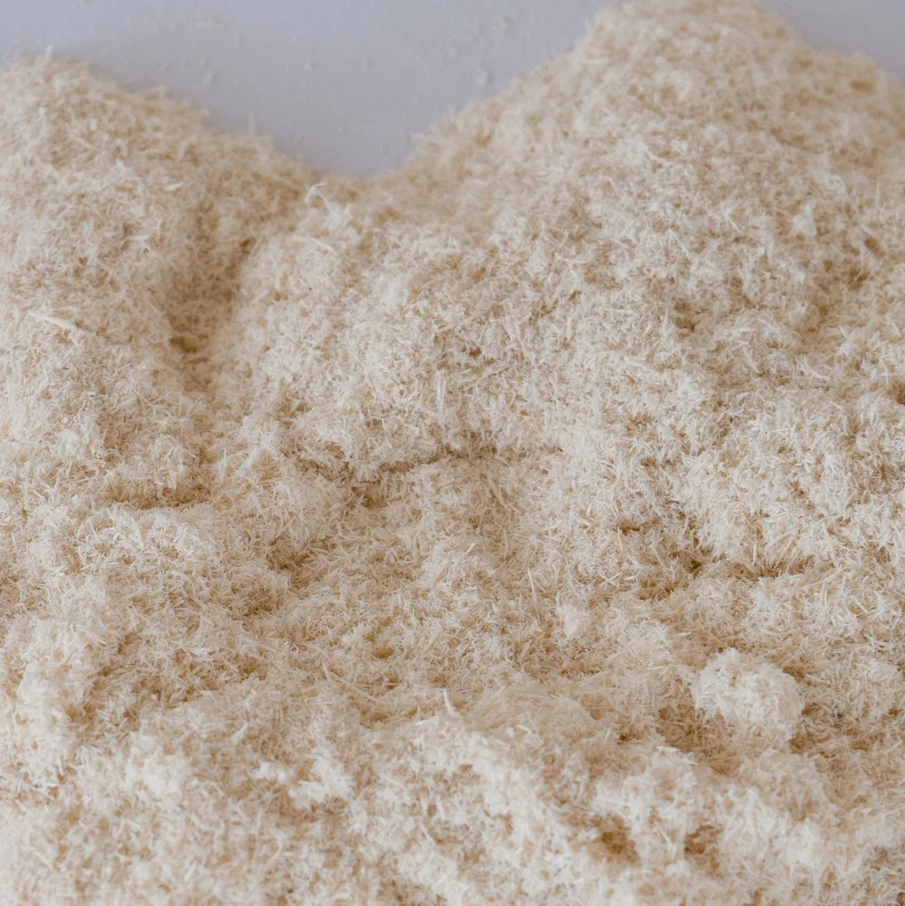 Building Material / Chemical Xylem Fiber