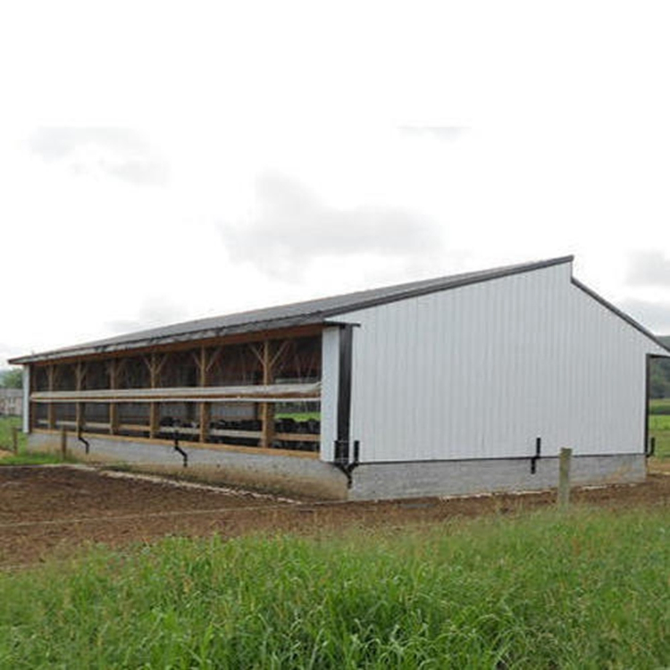 Cheap Construction Prefabcated Building Chicken House Poultry Farm House