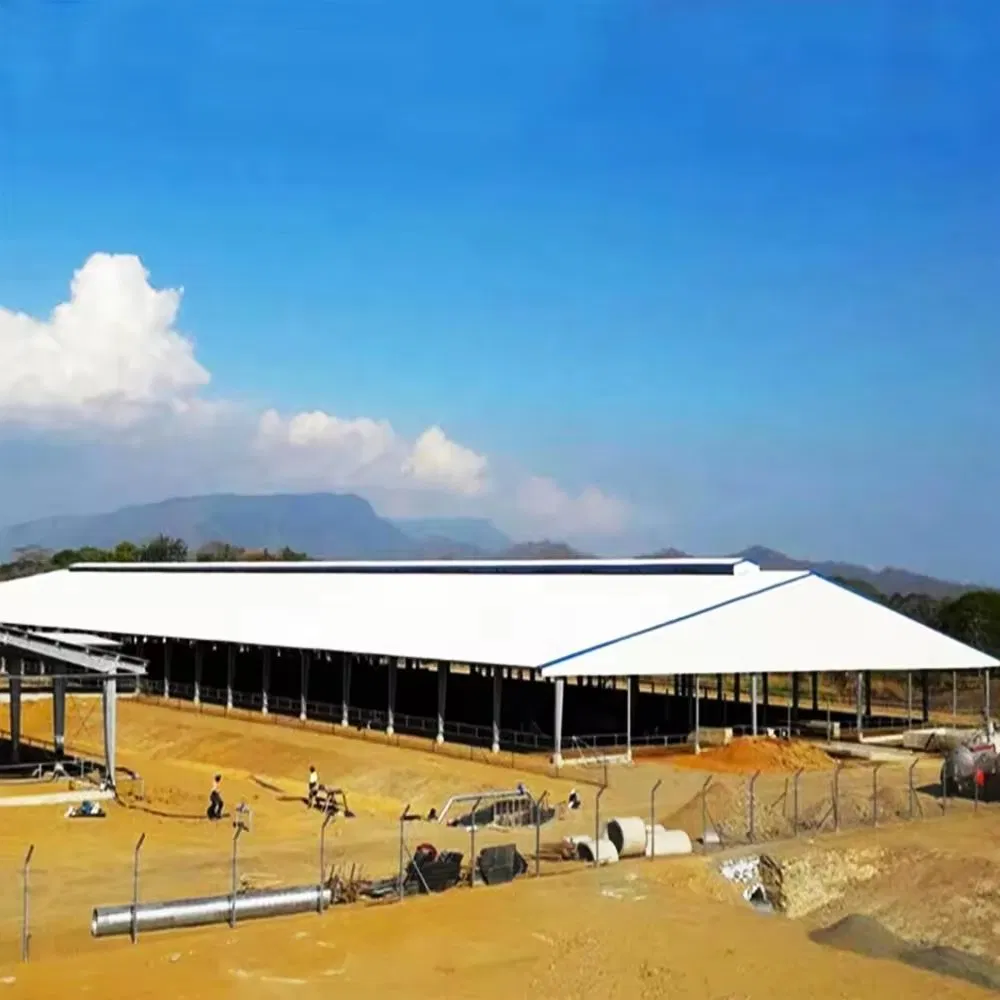 Steel Structure Pig Shed for Customized (PCH-13)