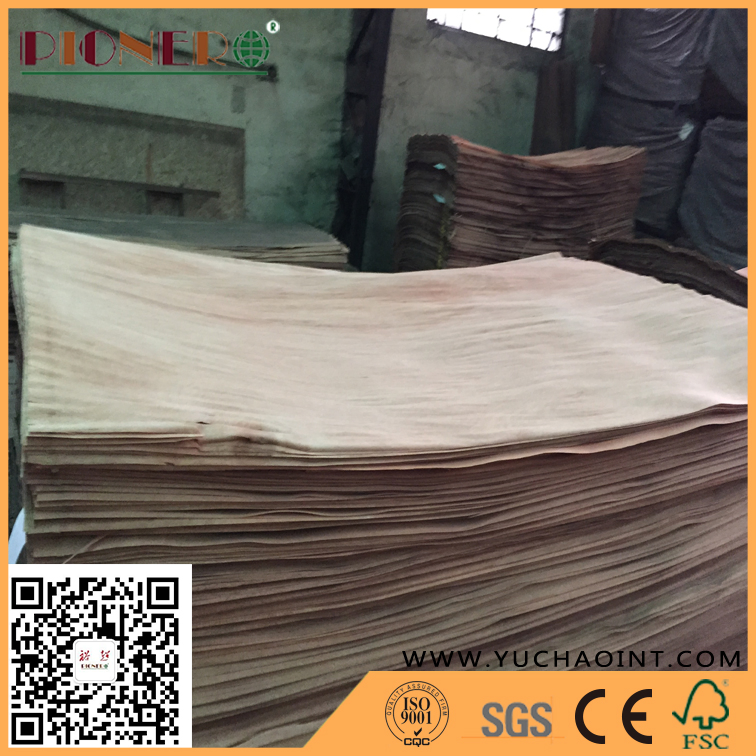 A Grade Rotary Cut Natural Gurjan/Keruing Veneer for India Market