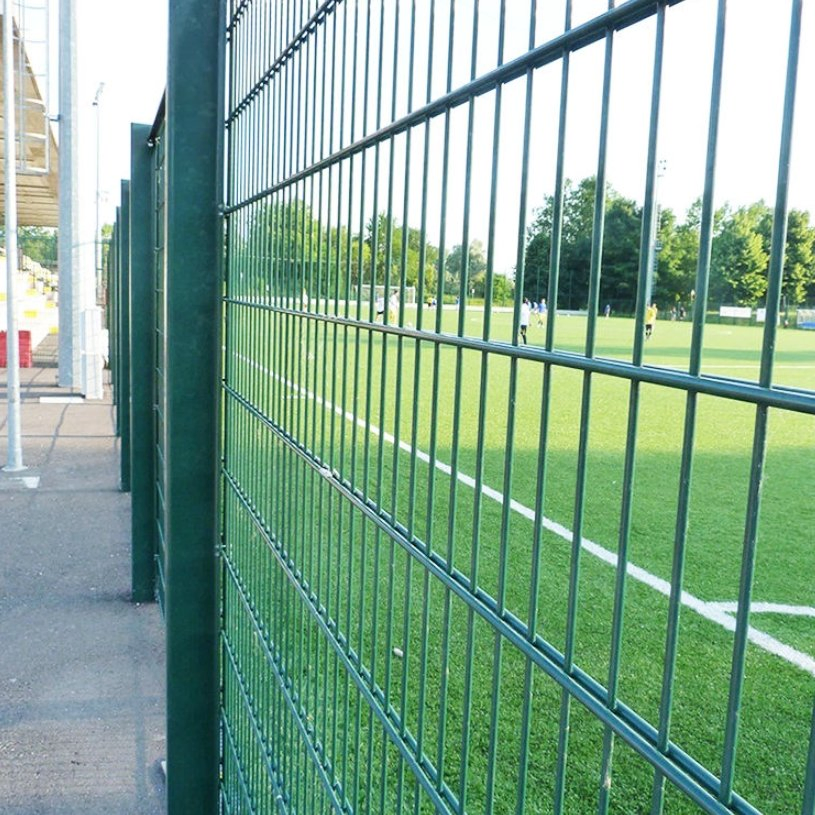 2D 868 Double Loop Horizontal Wire Mesh Fence Privacy Screen Fence Stripe Security for Fencing