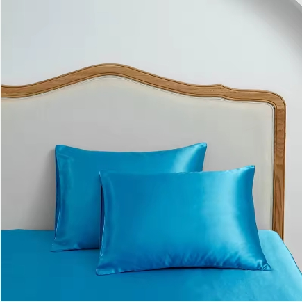 Custom Logo Pure Silk Pillowcase Luxury Sleep 100% Mulberry Silk Pillow Case