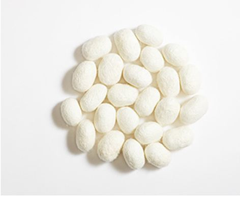 Hydrolyzed Silk Amino Acid Raw Material White Powder Cosmetic Grade