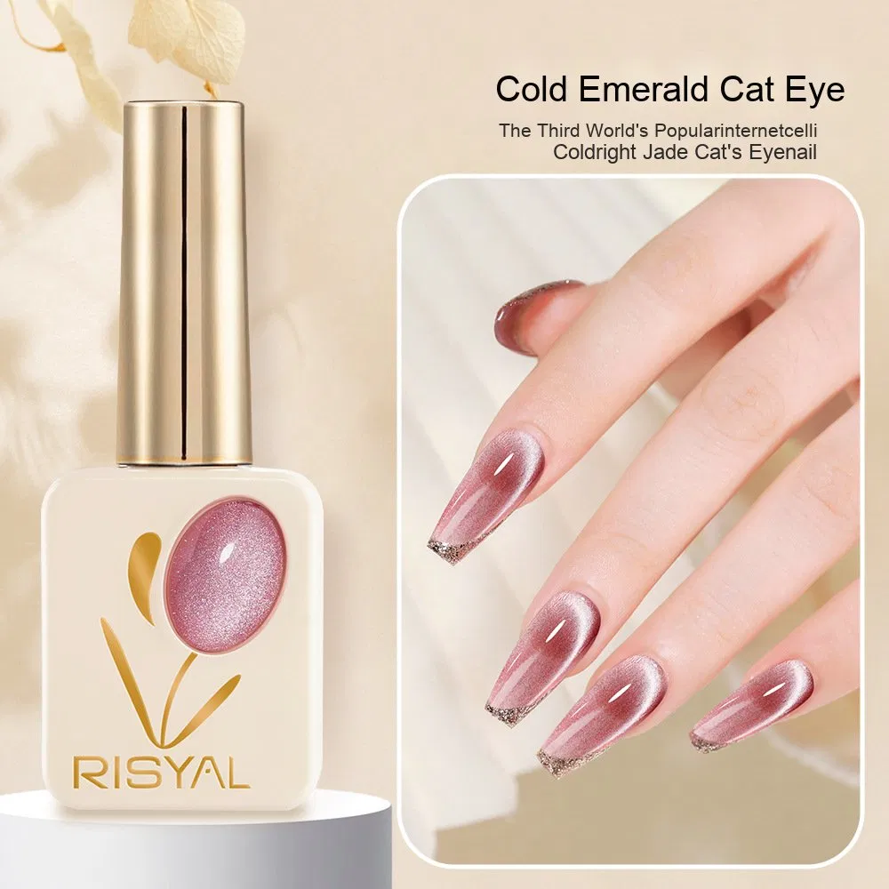 Wholesale Colorful Acrygel Poligel Nail Supplies OEM Logo UV Nail Extension Acrylic Glitter Poly Gel