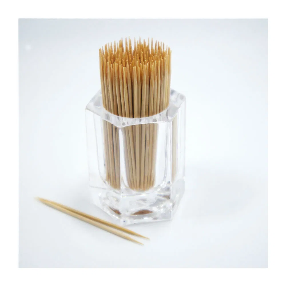 Bamboo Toothpick with Plastic Box Packing