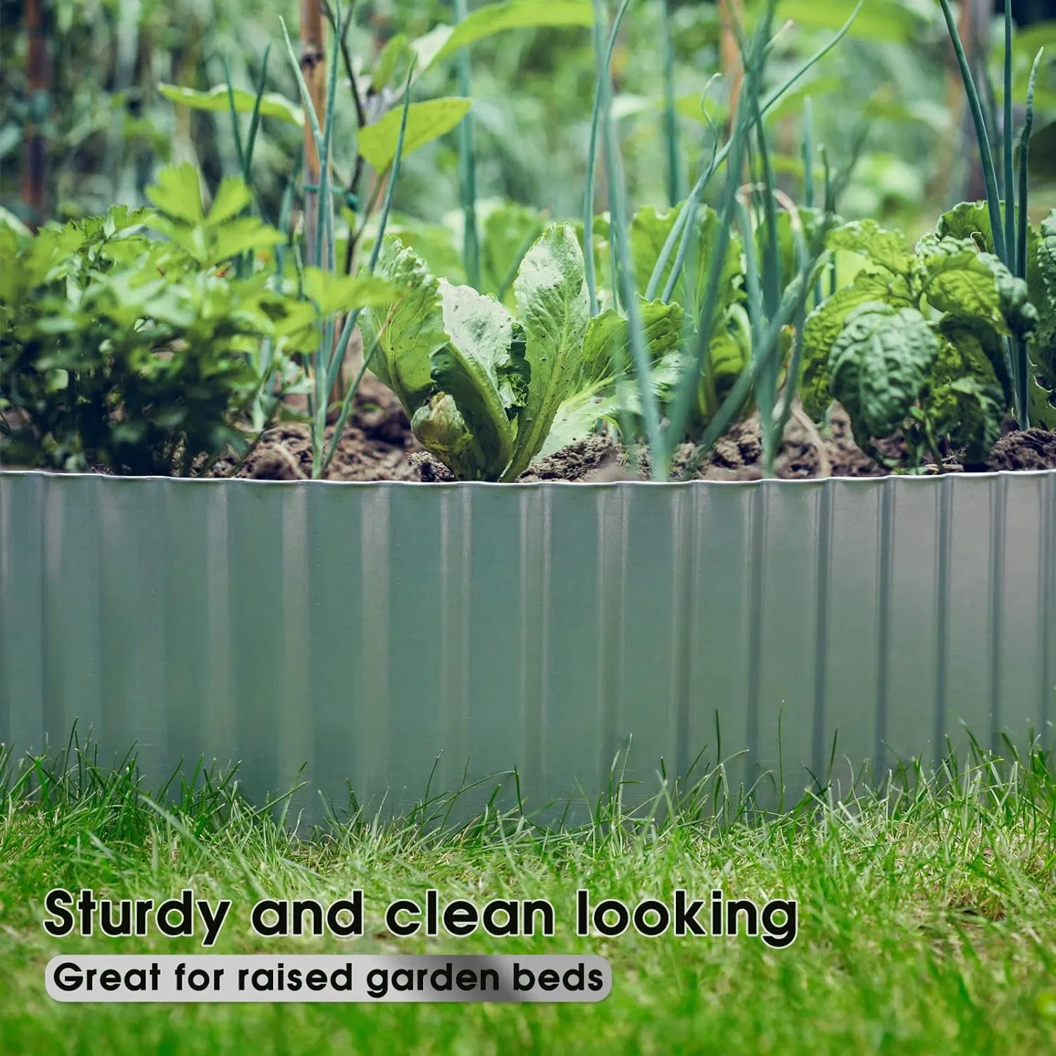 Iron Garden Metal Lawn Edging Steel Roll Garden Edge Border