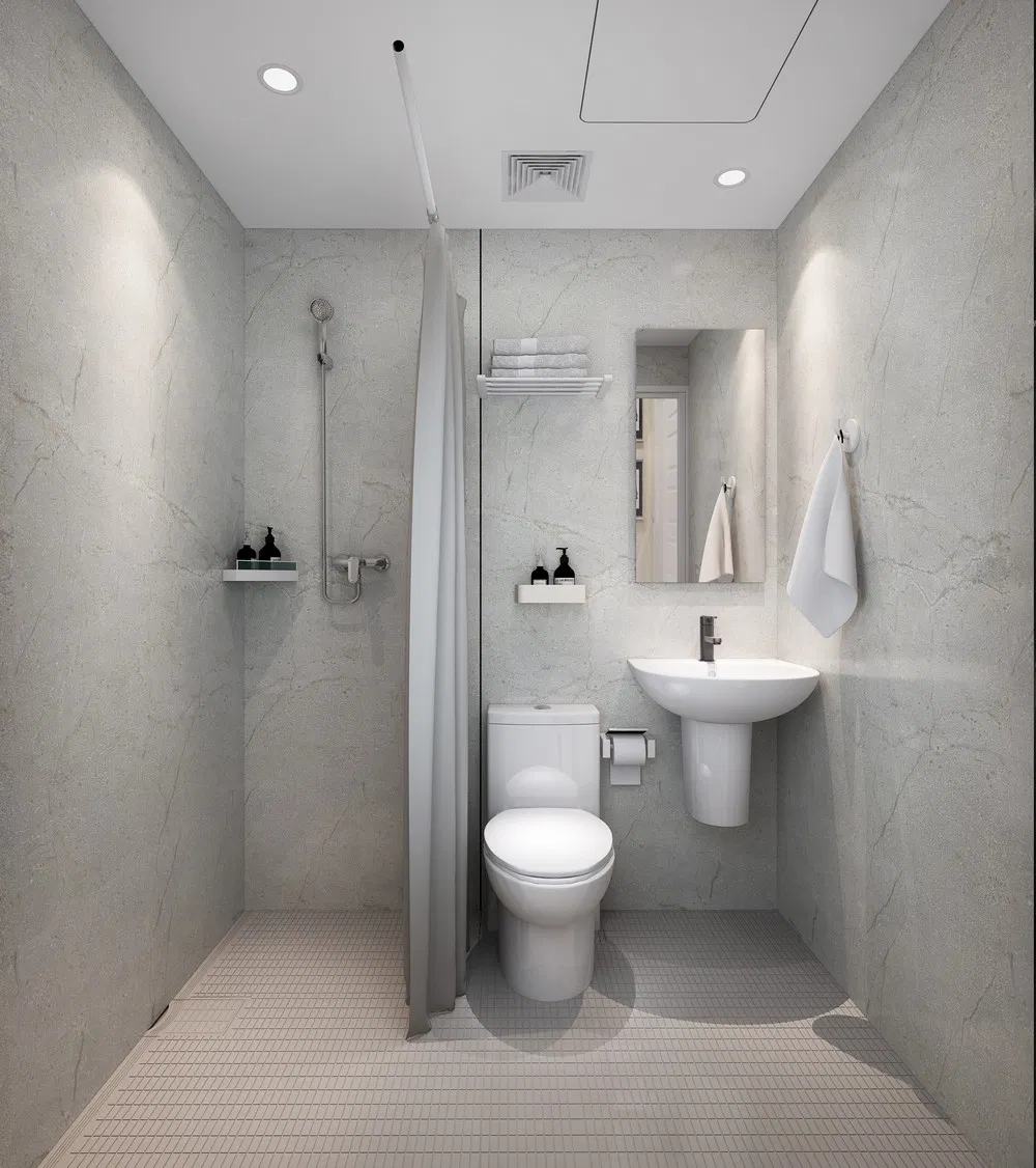 ISO9001 Quality Certificated Hubei Tongnai Optimized Space Layout for Small Homes Integrated Bathroom