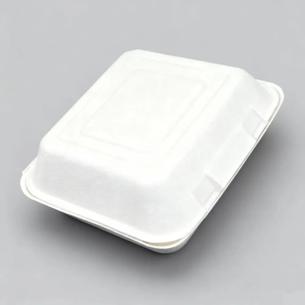 Durable Sugarcane Food Containers for Green Packaging Solutions