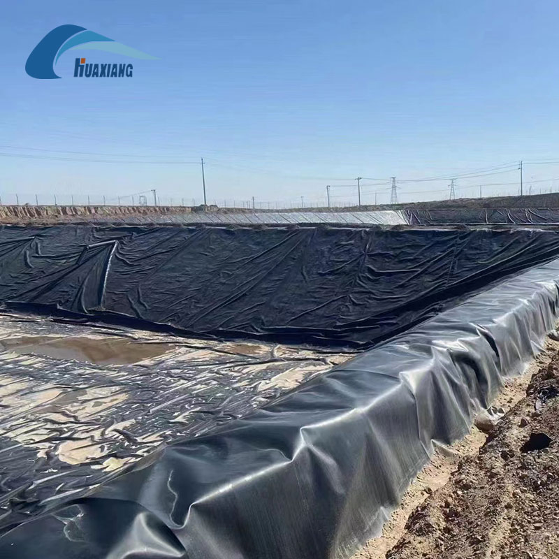 HDPE Plastic Waterproofing/Anti-Seepage Smooth Surface HDPE Geomembrane for Fish Pond/Agriculture