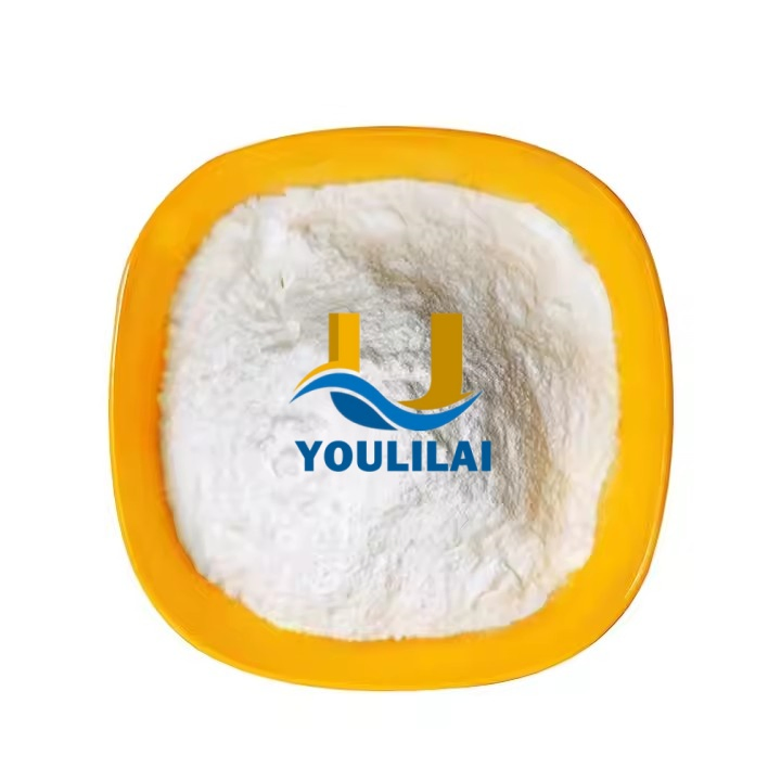 Daily Chemicals Sodium Hyaluronate Bulk Price Cosmetic Grade Sodium Hyaluronate Hyaluronic Acid Powder for Skin Care