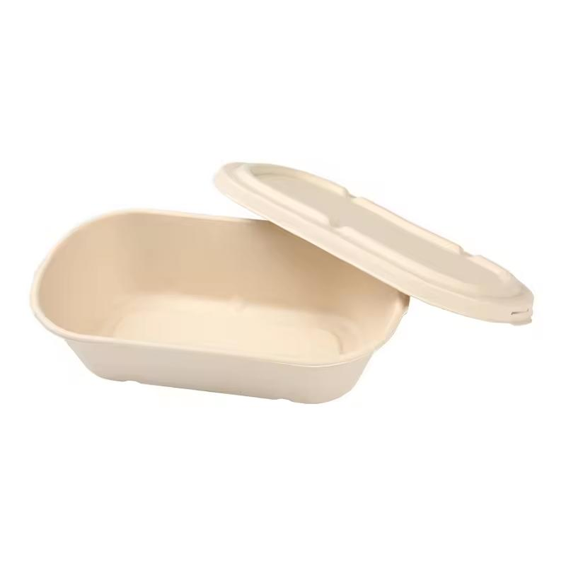 Sugarcane Fiber Container Disposable Biodegradable Paper Takeaway Box with Lid