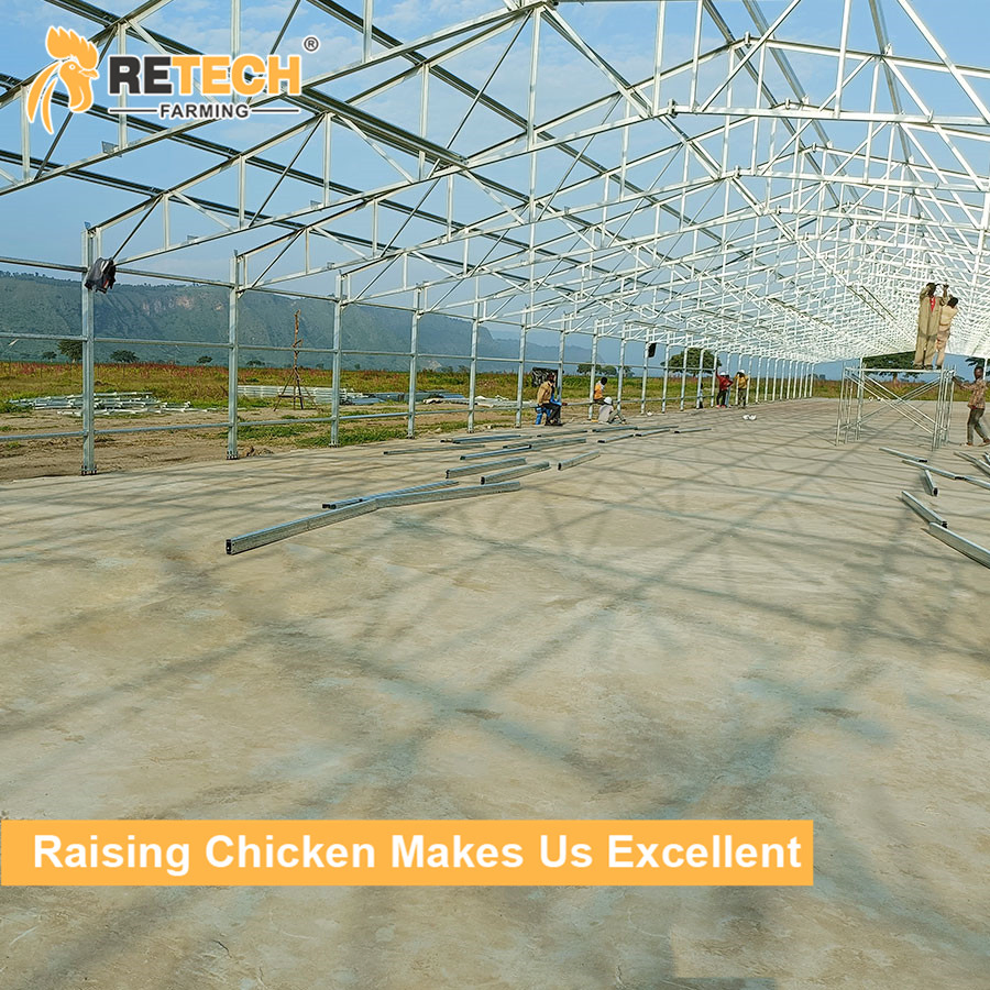 Chicken House with Chicken Cage Egg Layer and Prefab Steel in the Chicken Farm