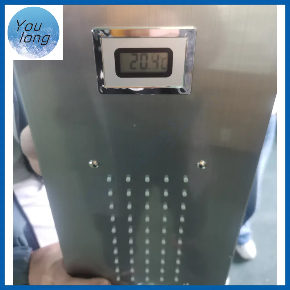 Wall Mounted Multifunctional SPA Stainless Steel LED Shower Panel