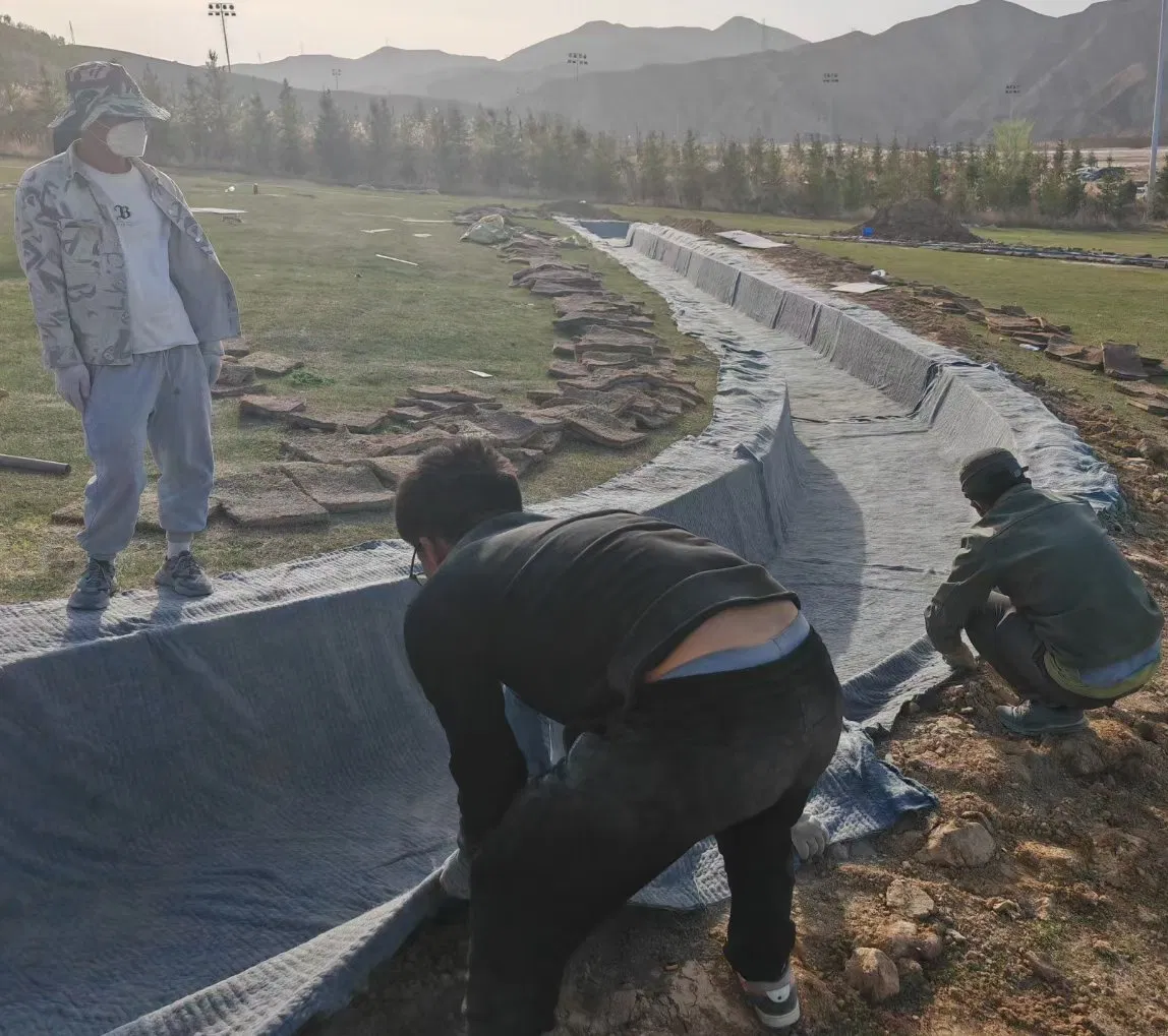 Advanced Cement Canvas for Reliable Drainage Ditch Protection Systems