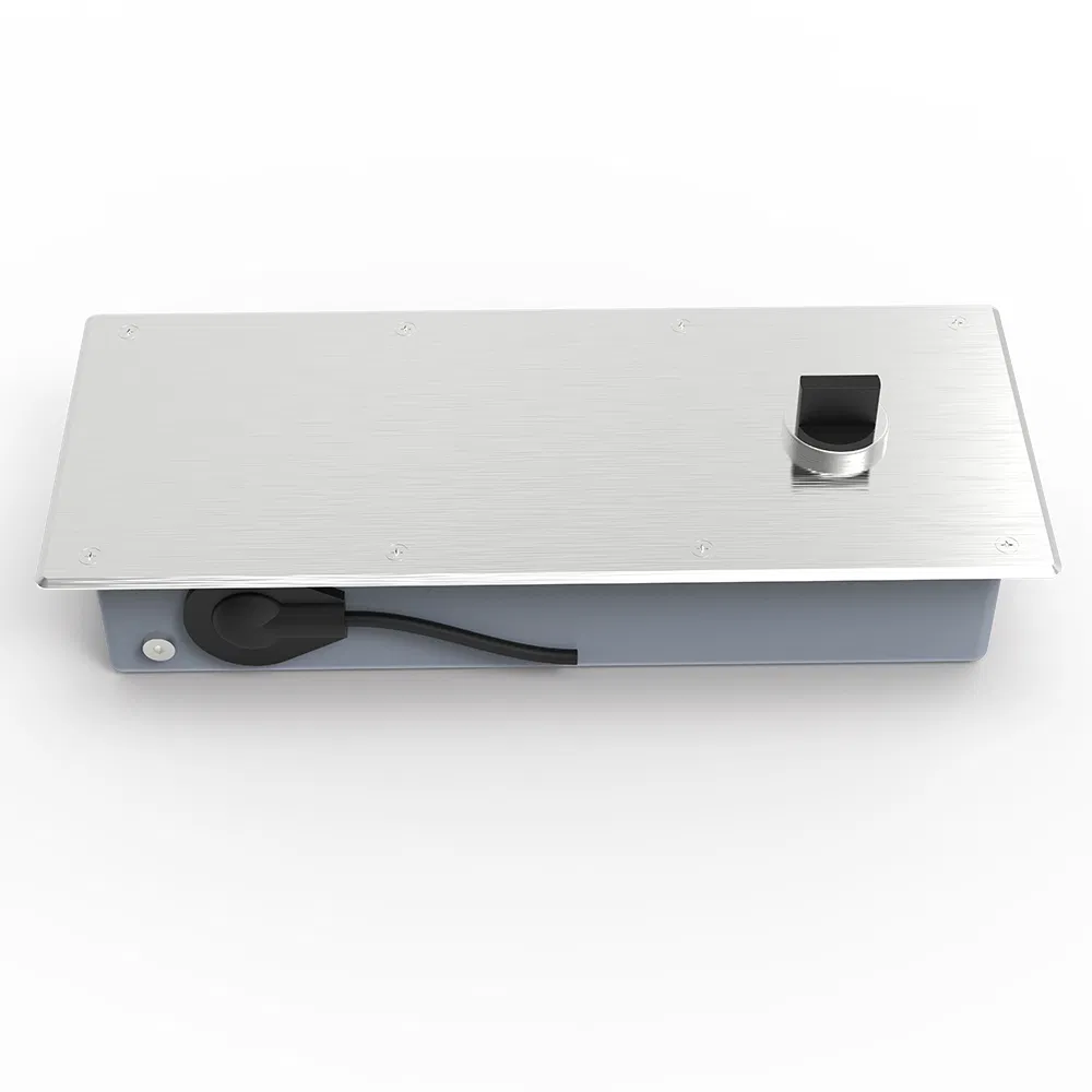 Durable Obstacle Rebound Prevention Stainless Steel Floor Spring for Store Front Door