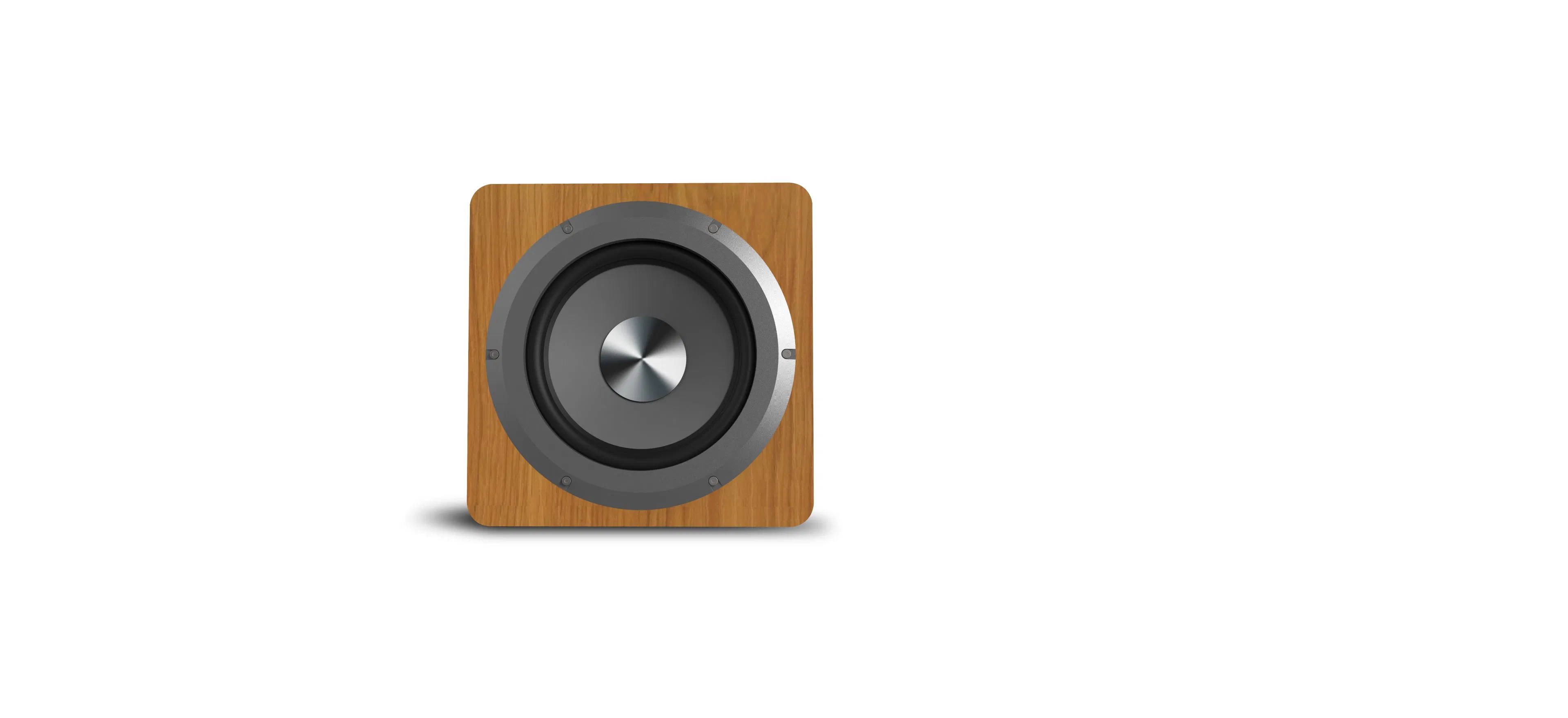 Tianlai Tl-D6 Lautsprecher Outdoor 6.5 Inch Small Subwoofers 100 Watt Wooden Active Subwoofer Speaker