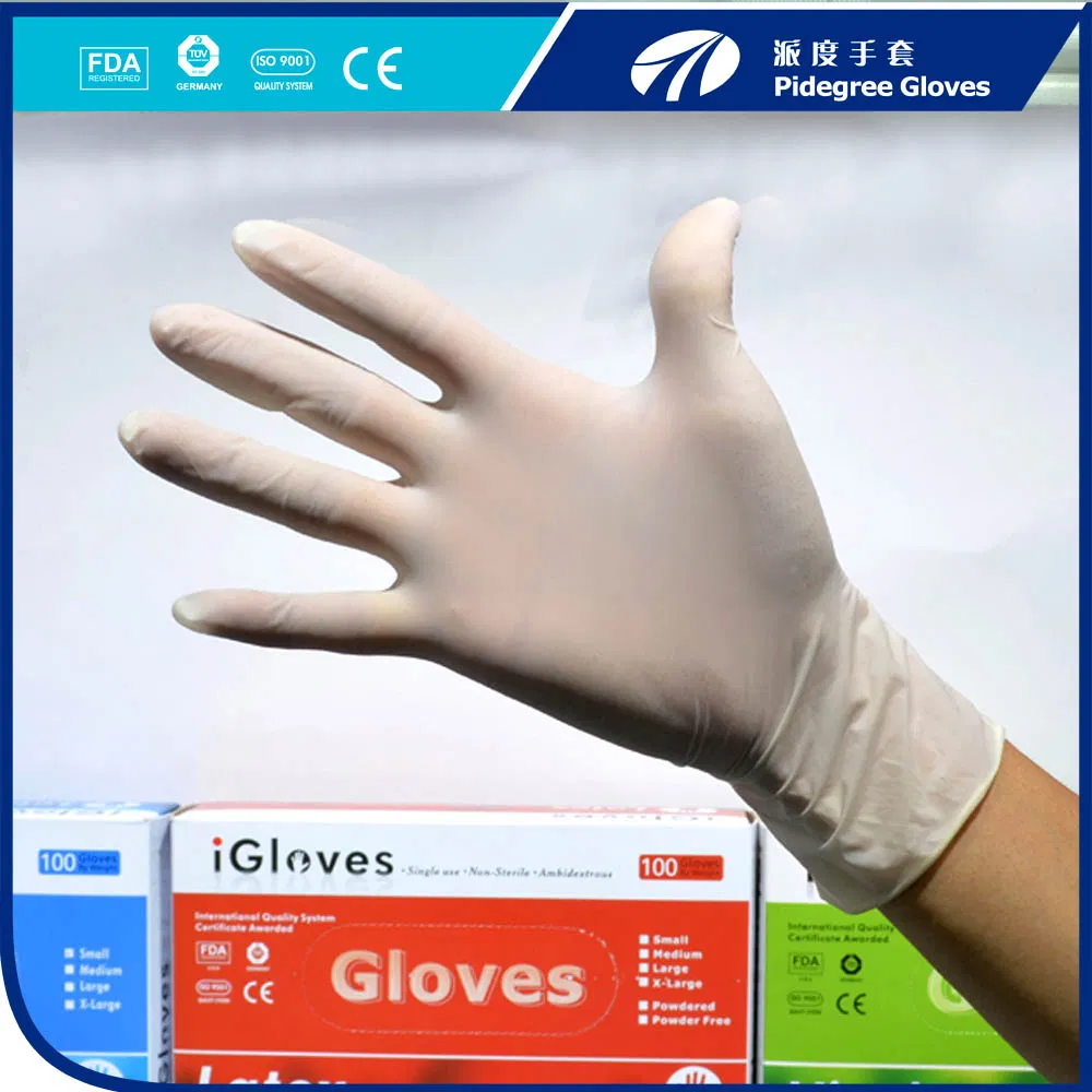 Disposable Latex Examination Gloves Malaysia Manufacturer
