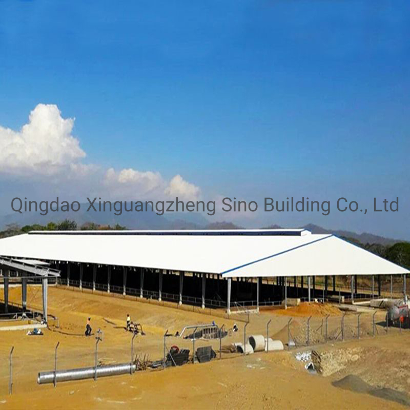 PNG Hot-Dipped Galvanized Steel Structure Cow Shed for Dairy Farm