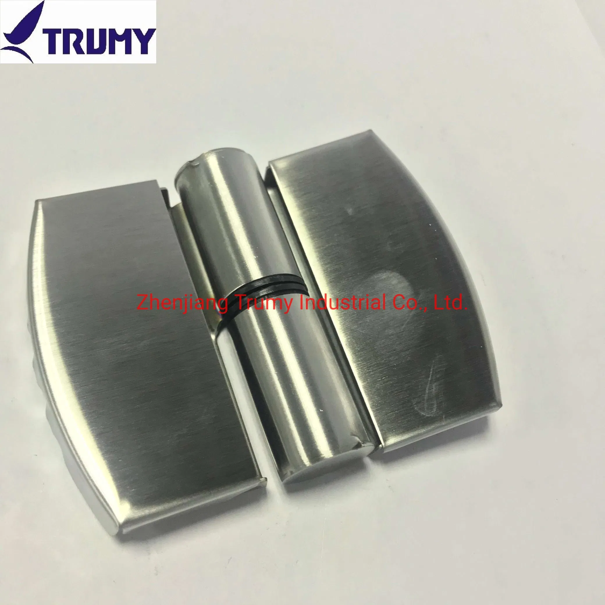 Zinc Alloy Toilet Cubicle Partition Hardware Door Hinges for Sales