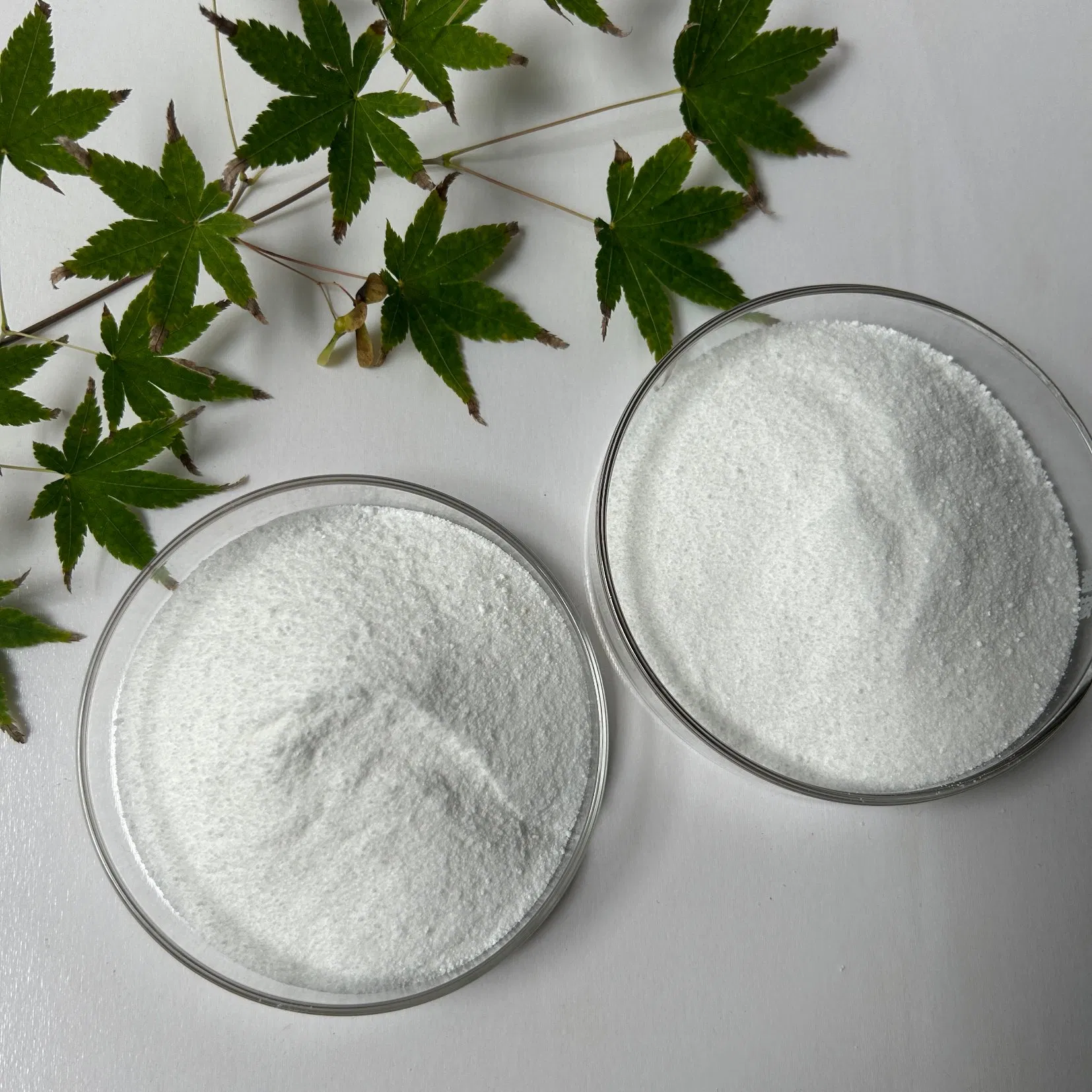 CAS No. 527-07-1 Factory Supply Industry Grade Sodium Gluconate for Used for Retarding Effect