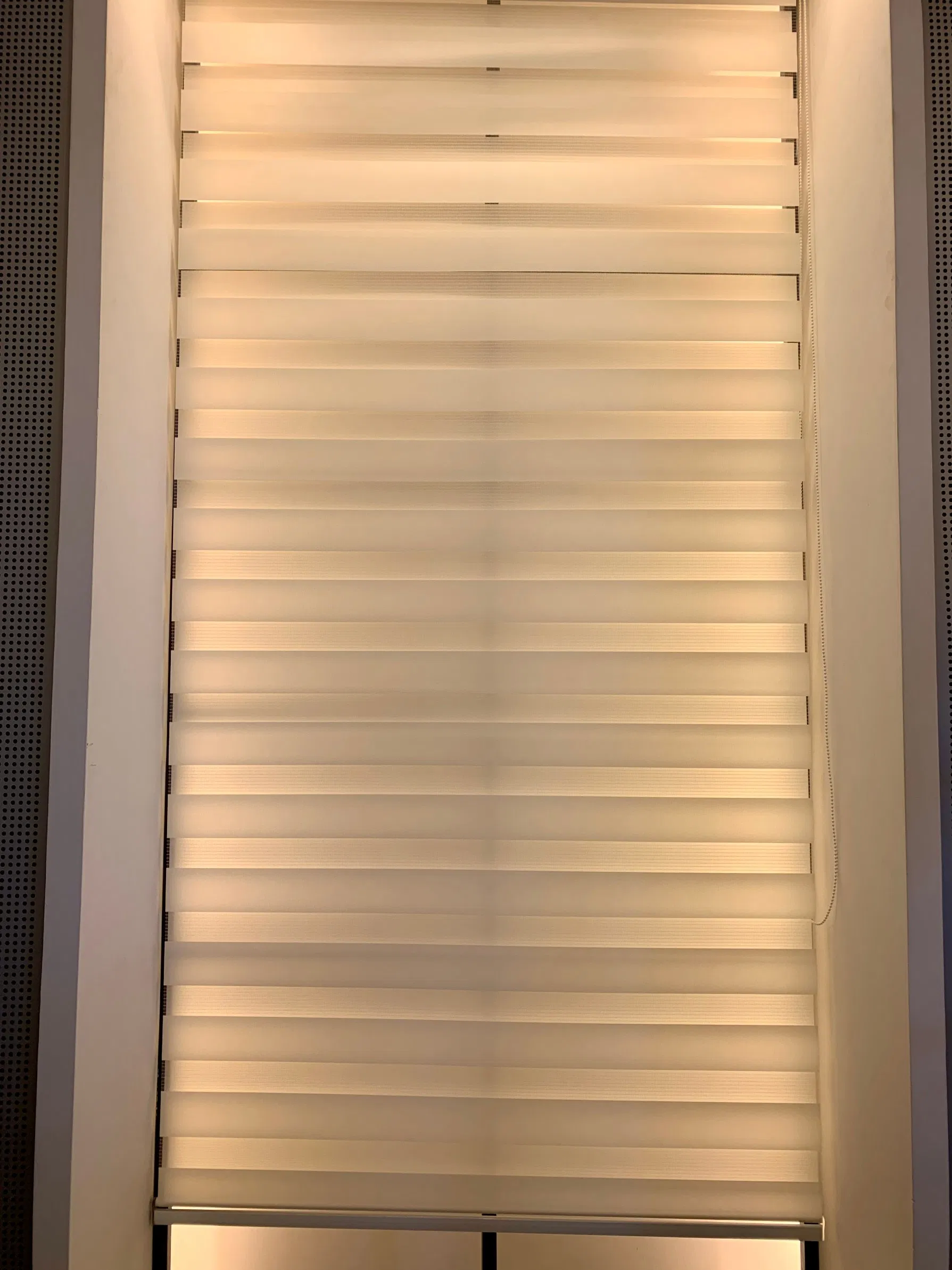 Custom Day and Night Motorized Zebra Blinds for Vikson Factory