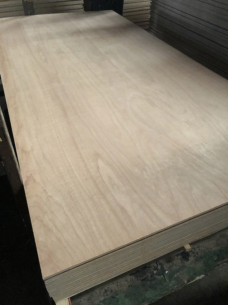 1220mm X 2440mm Pencil Cedar Plywood for Mexico