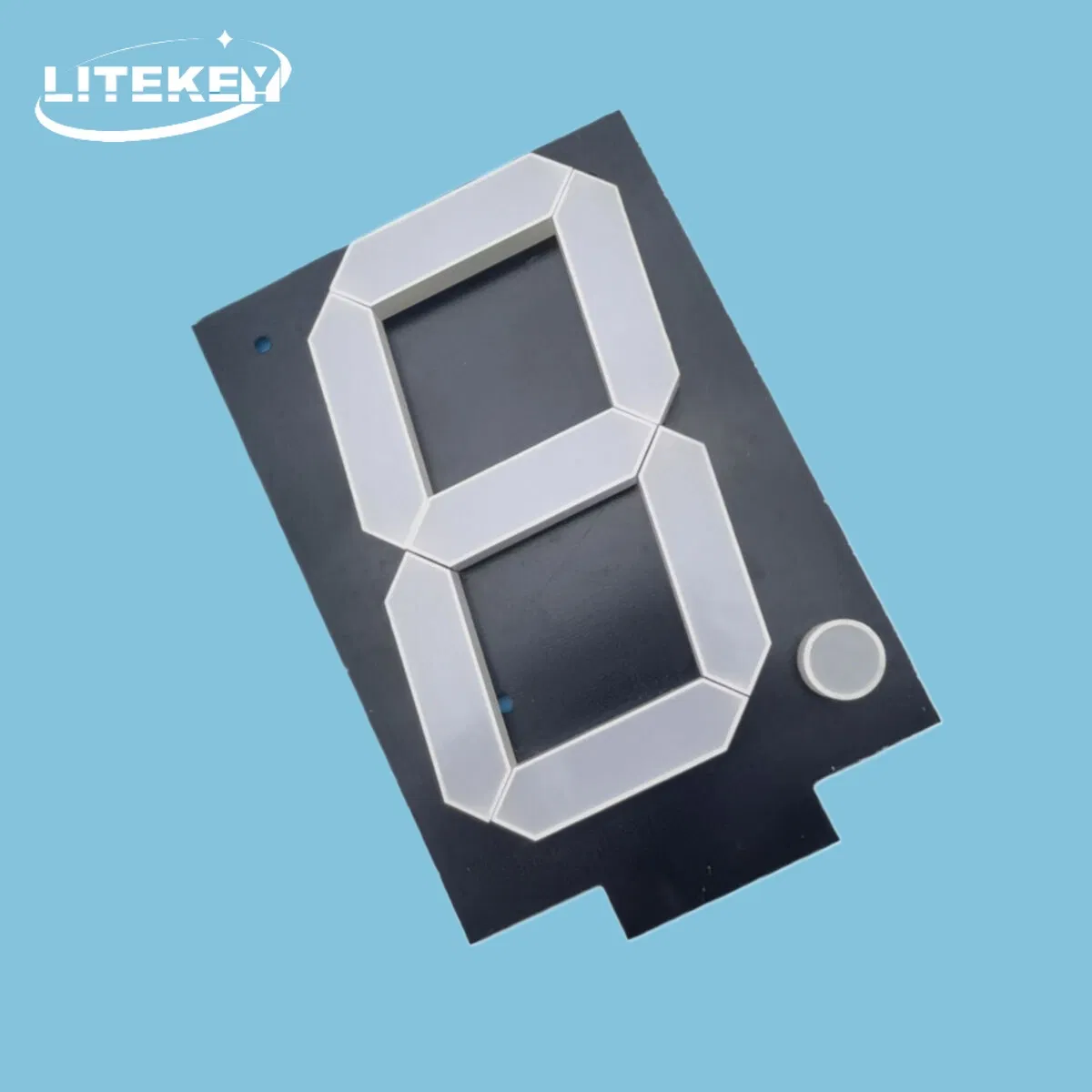 20 Inch Assembly 7 Segment LED Display with RoHS From Expert Manufacturer