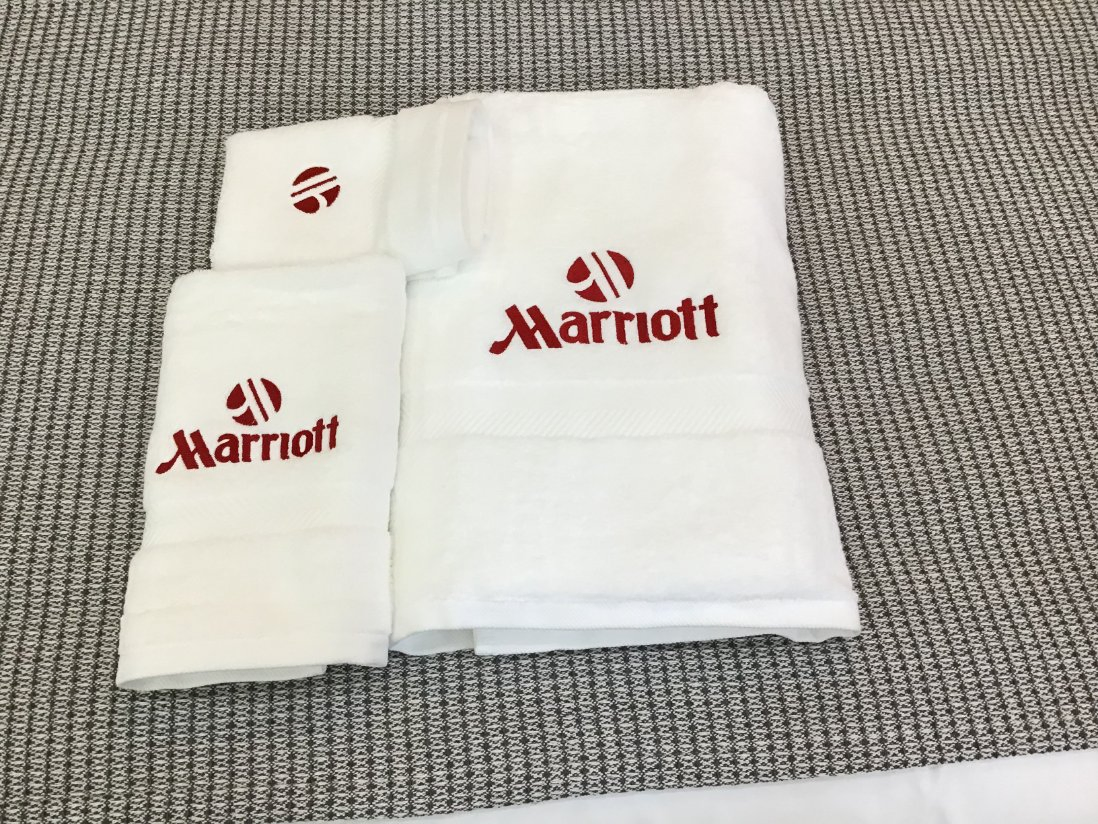 Wholesale Custom Logo Hot Sale Hotel Bath Towels Supplier in Pakistan Dobby Hotel