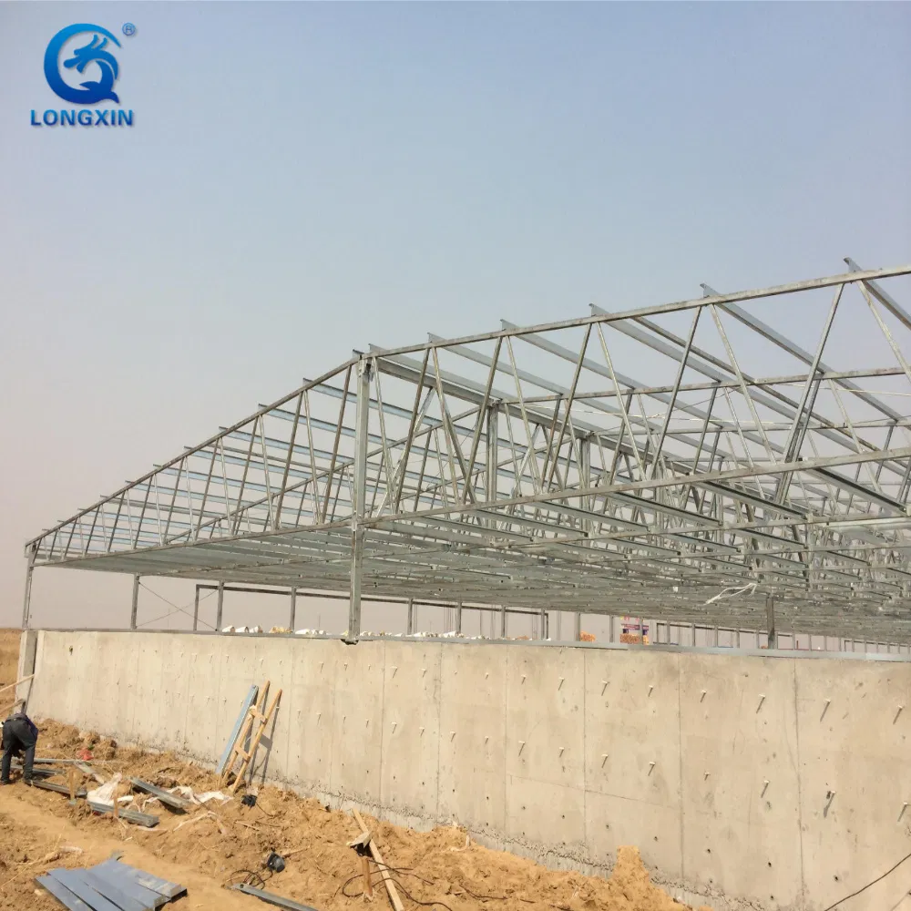Customizable Poultry Farm Quick Installation Design High-Quality Light Weight Steel Structure Prefabricated Pig Shed House