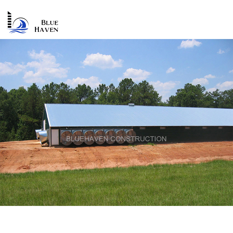 Steel Structure Layer Egg Chicken Cage Broiler Poultry Farm House
